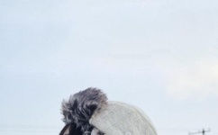 朴妮唛kw7142第二部